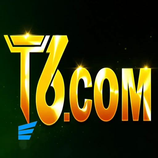 T6